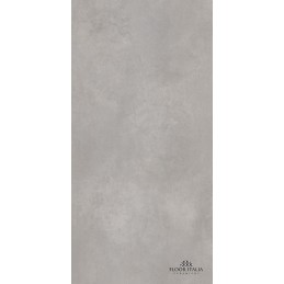 Capitol Silver Matt 60×120cm