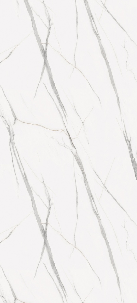 Vilo SPC Paneel 120x265 cm Matt Calacatta White 0,4 mm 