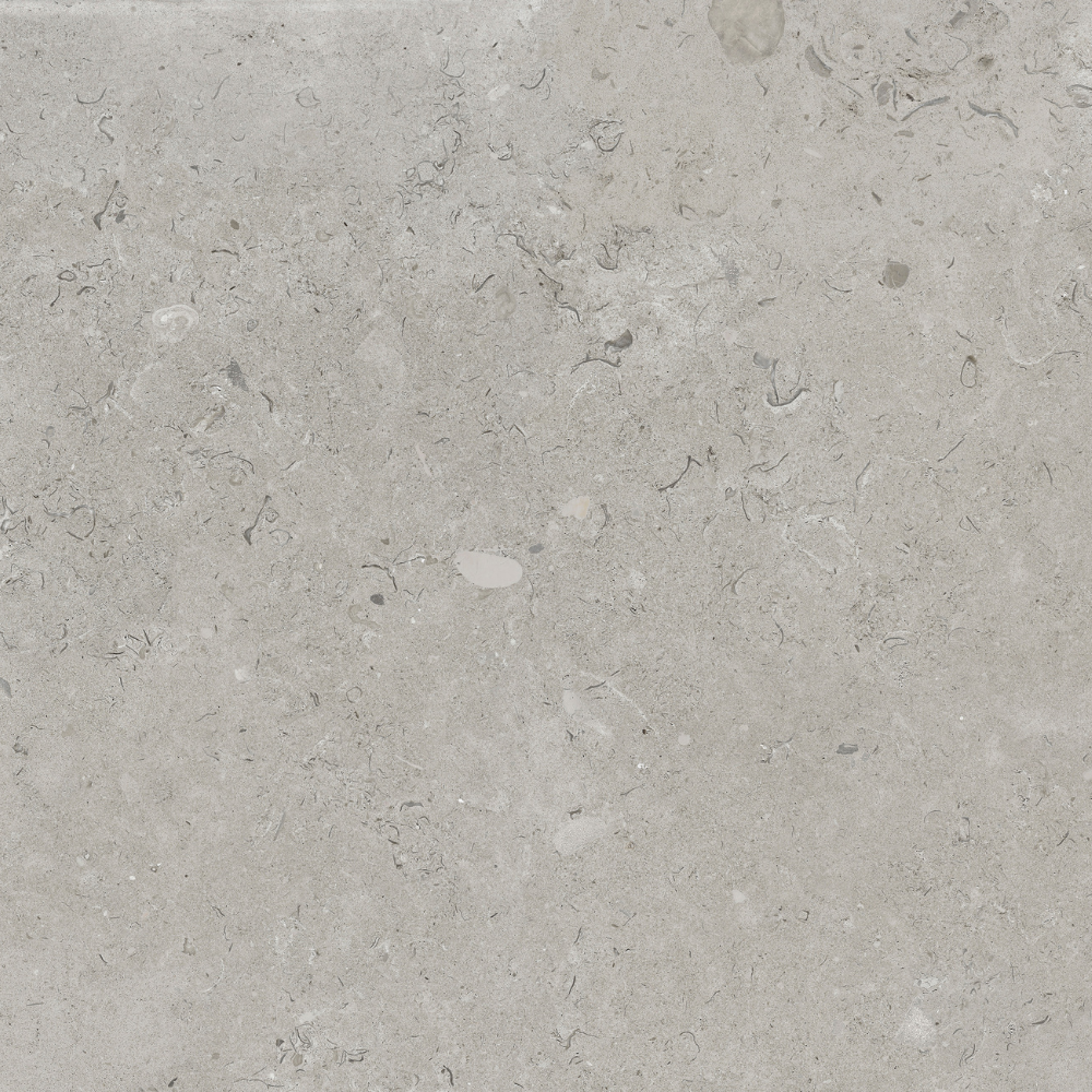 60x60 2cm Coralina Perla Matt 