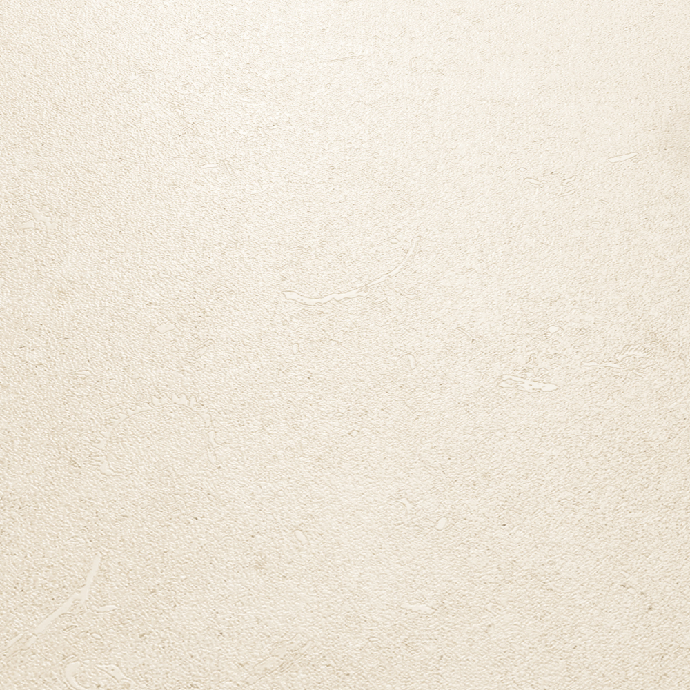 60x120cm Kora White Matt 