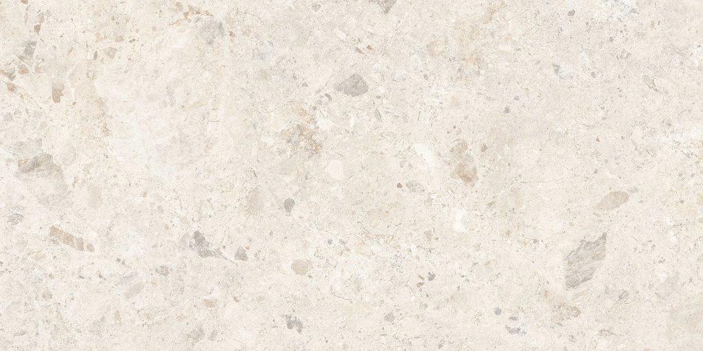 60x120cm Ambrossia White Matt 9mm  