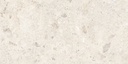 60x120cm Ambrossia White Matt 9mm  