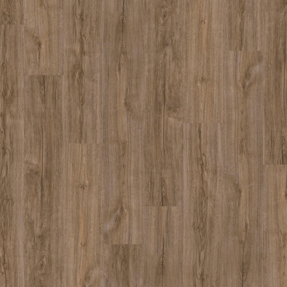 DESIGN 555 5204 Brown Cr.Oak 2,5mm/NS 0,55mm Dryback