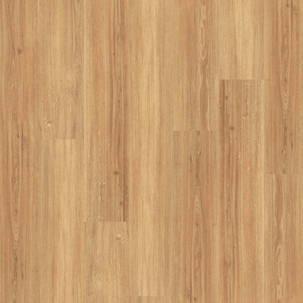 DESIGN 555 5207 Incr.Light Oak 2,5mm/NS 0,55mm Dryback
