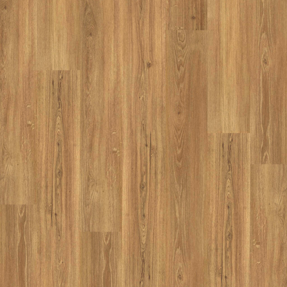 DESIGN 555 5208 Incr.Clas.Oak 2,5mm/NS 0,55mm Dryback