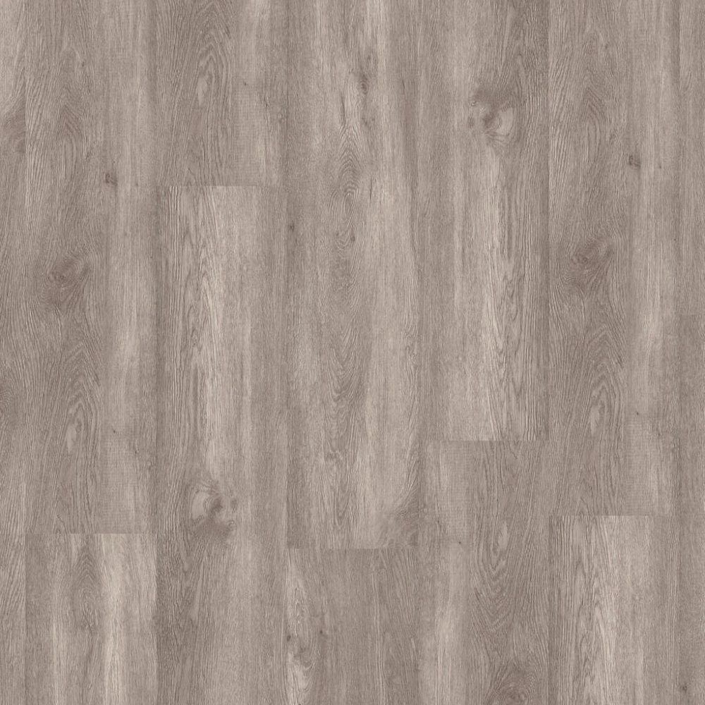 DESIGN 555 5425 Afr.Grey Oak 2,5mm/NS 0,55mm Dryback