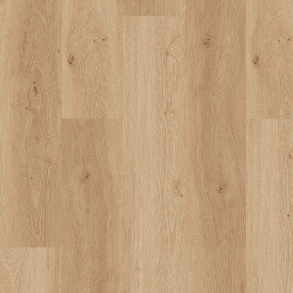 XXL DESIGN 555 5704 Oak Blonde EIR rau 2,5mm/NS 0,55mm Dryback