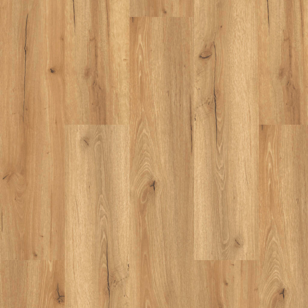 XXL DESIGN 555 5706 Oak Chale EIR 2,5mm/NS 0,55mm Dryback