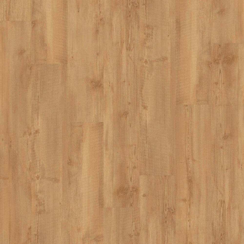 Design Klebe Vinyl Golden Pine Dryback