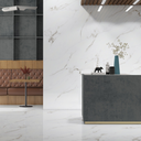 60×120cm Endless Love Bianco Signorina Hochglanz 9mm