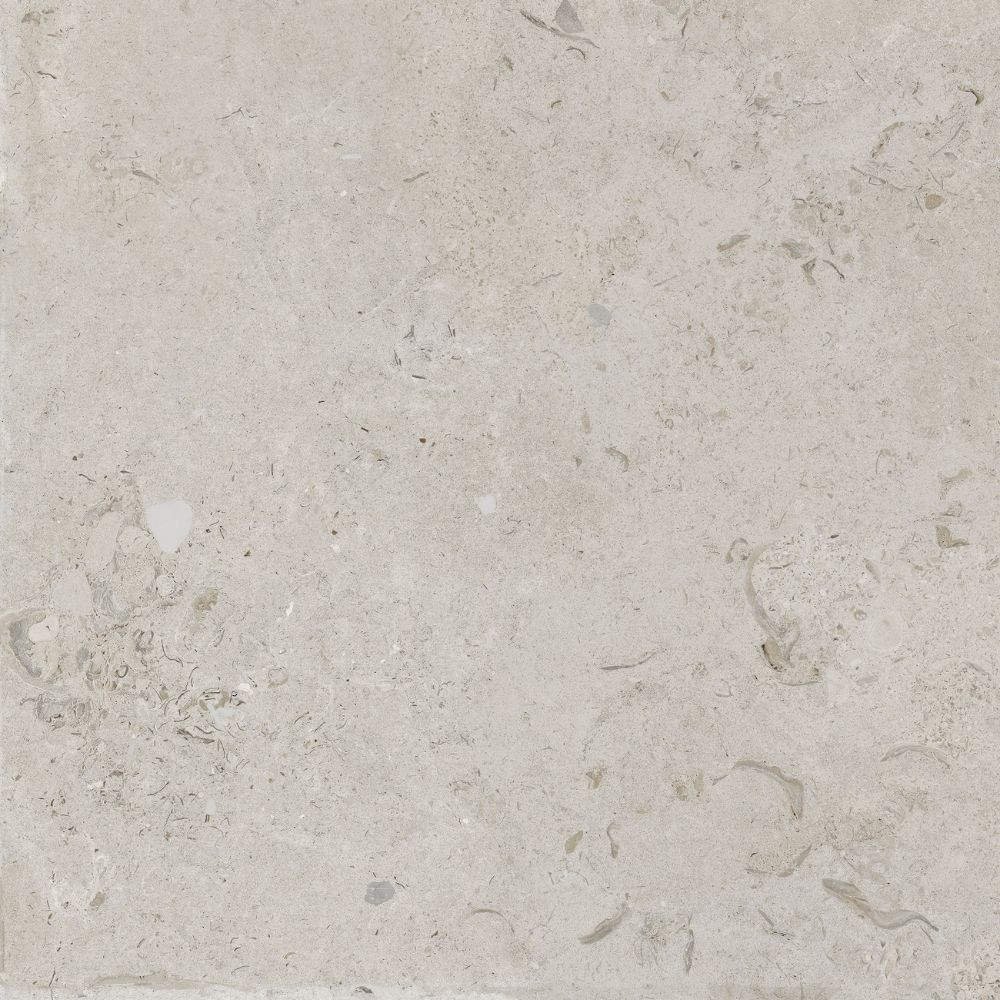 60,5x60,5 2cm Carolina Blanco Matt 