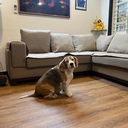 FM Luna Klick Vinyl 1220x181x5mm