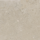 60x60 2cm Coralina Beige Matt  
