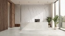  SPC Wandpaneel 120x280x0,37cm Ultra matt Statuario 